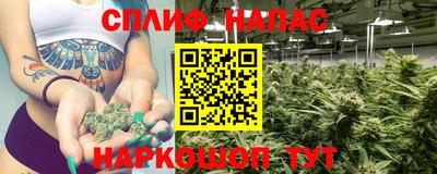 мдпв Донской