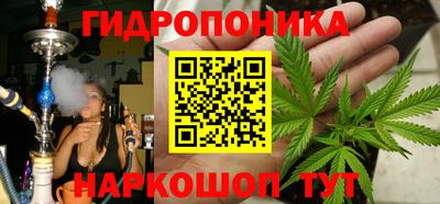 винт Дубна