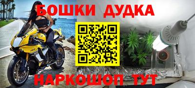 винт Дубна